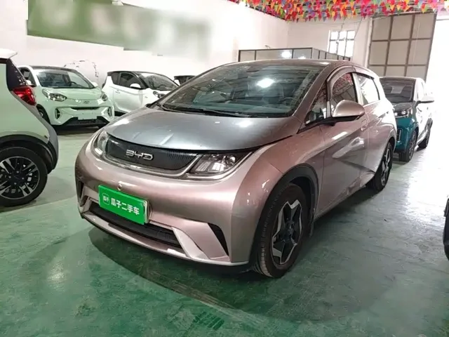 BYD Dolphin 2021 Model 405km Fashion Edition