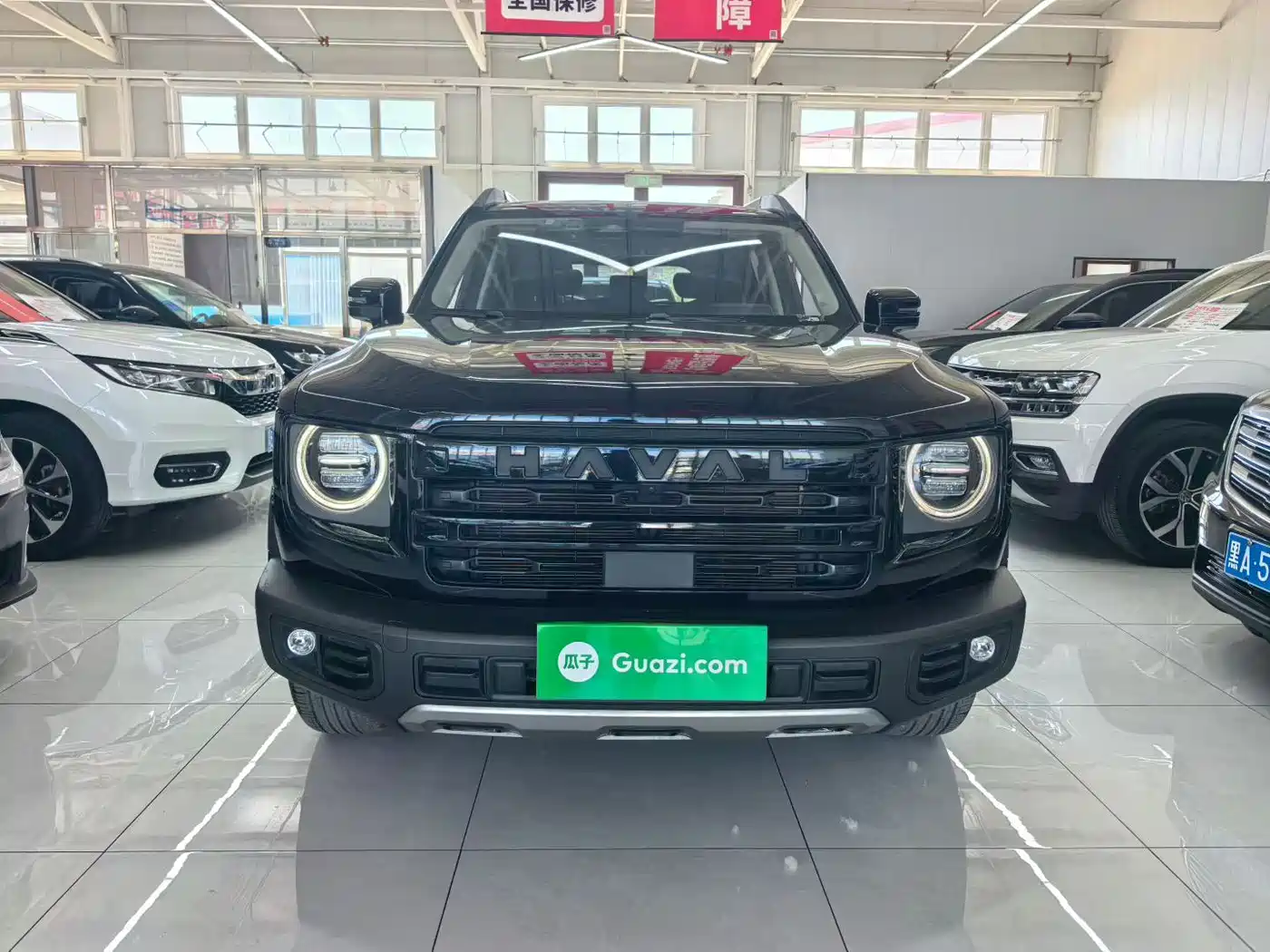 Haval Big Dog 2024 1.5T DCT Border Collie Edition