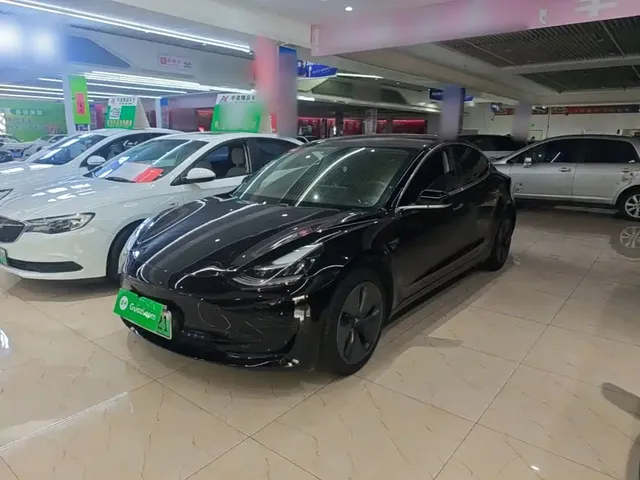 Tesla Model 3 2019 Standard Range Rear-Wheel Drive Upgrade