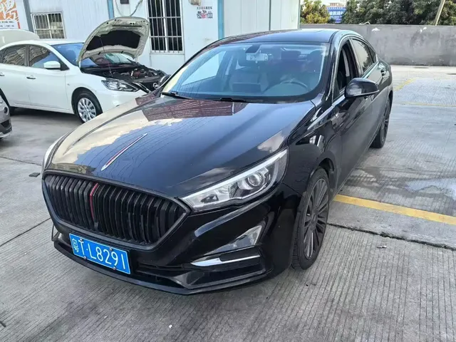 Hongqi H5 2020 1.5T DCT Qi Rhythm Edition