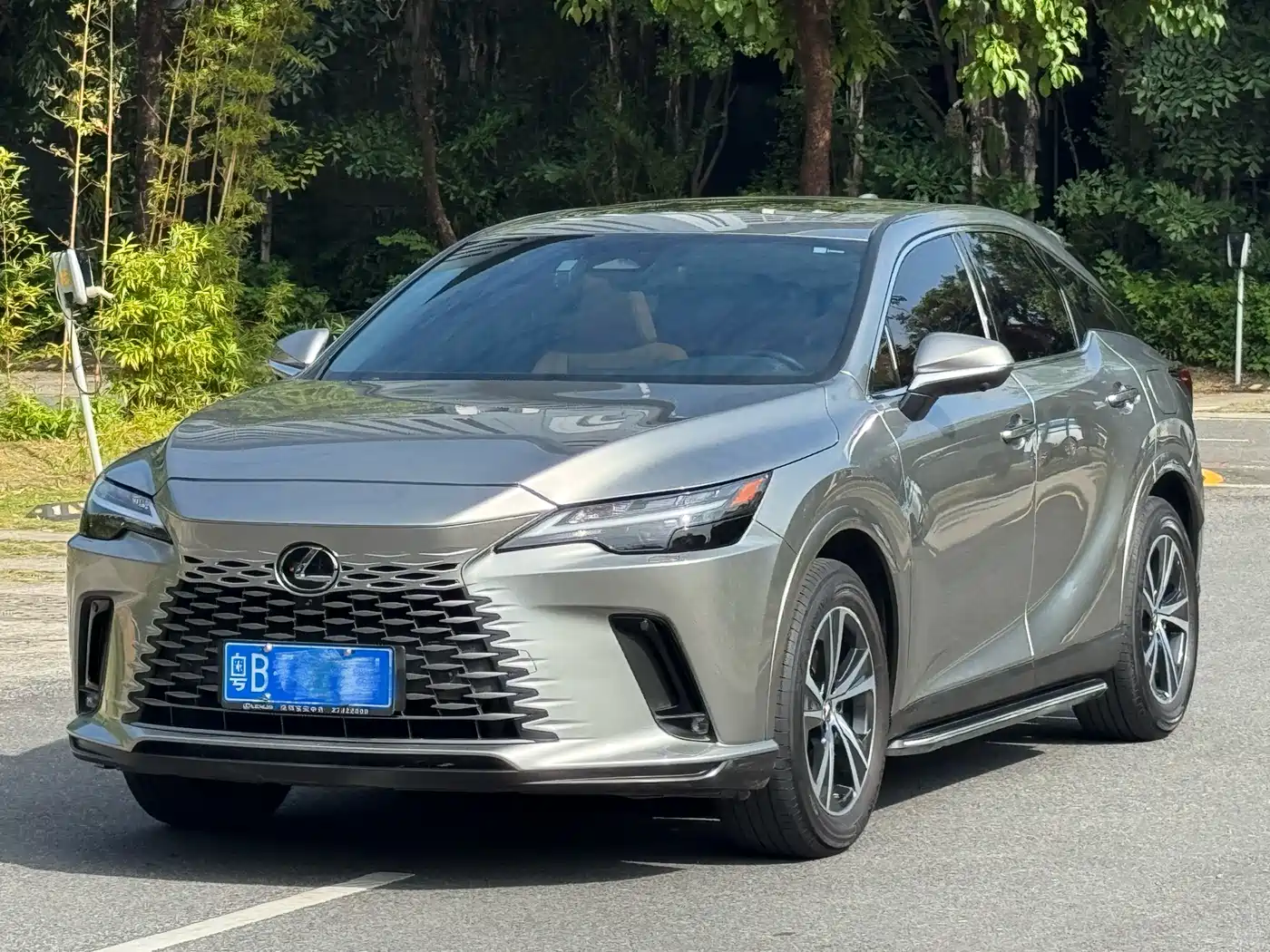 Lexus RX 2023 350h 2WD Joy Edition