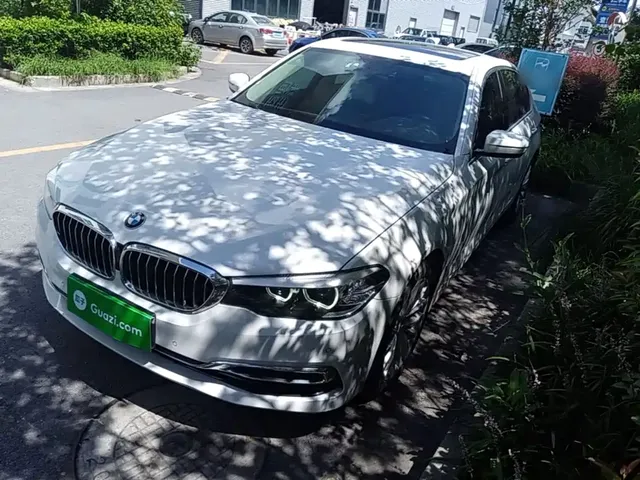 BMW 5 Series 2020 525Li Luxury Package