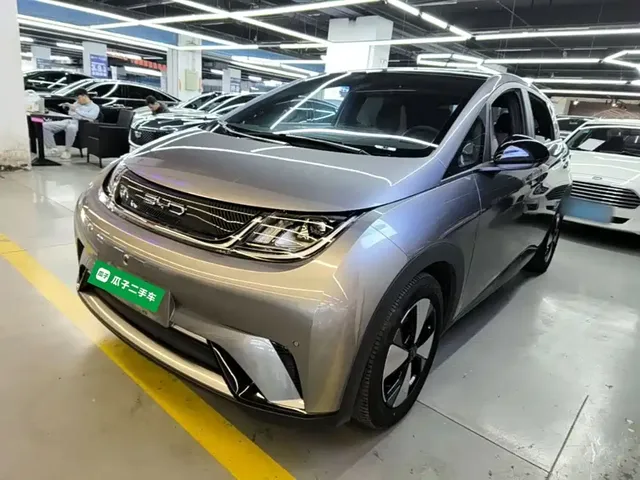 BYD Dolphin 2024 Glory Edition 401km Knight Edition