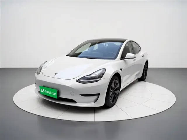 Tesla Model 3 (Import) 2019 Long Range RWD Version