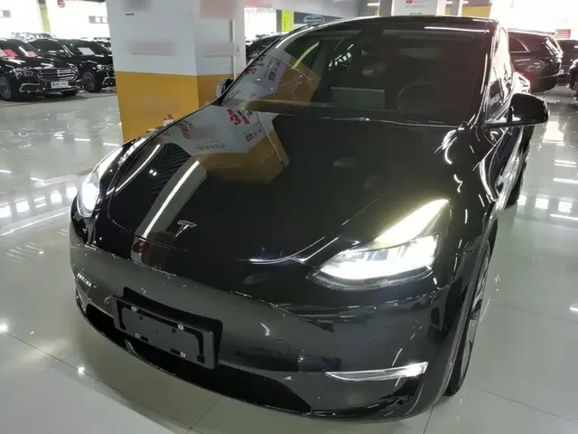 Tesla Model Y 2021 Long Range All-Wheel Drive 3D7