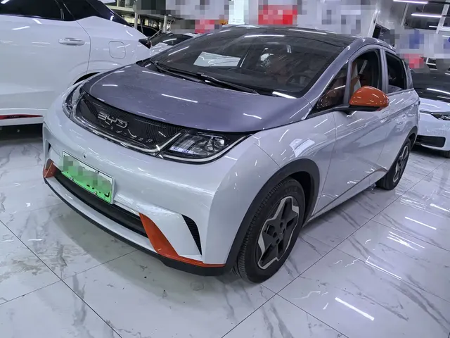 BYD Dolphin 2021 Model 405km Fashion Edition