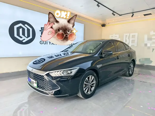BYD Qin PLUS 2023 Champion Edition DM-i 55KM Leading