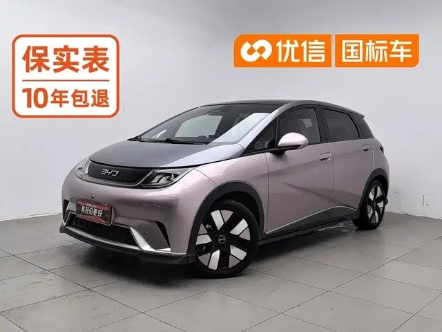 BYD Dolphin 2025 520km Knight Edition
