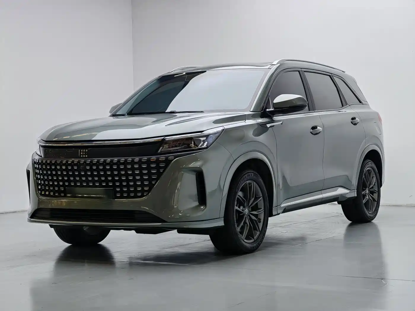 Landian E5 2023 1.5L DE-i 100KM Premium 5-Seater