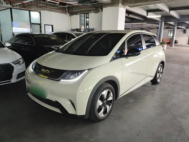 BYD Dolphin 2025 420km Freedom Edition