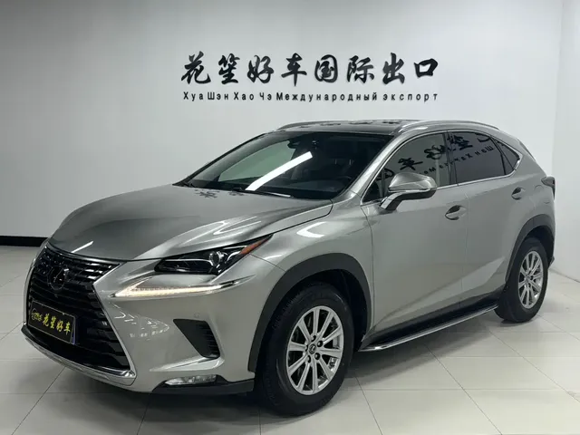 Lexus NX 2020 200 AWD F Sport China V