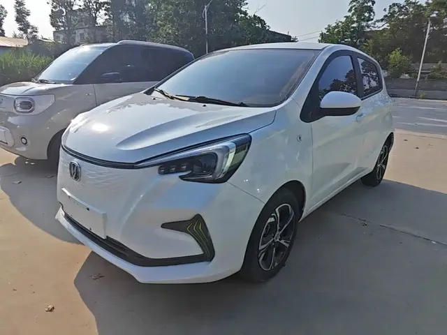 Changan Benben E-Star 2020 Model Happy Edition (LFP 31.18kWh)