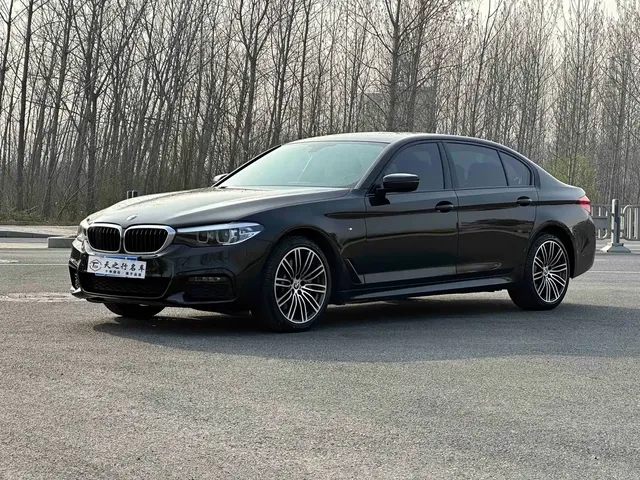 BMW 5 Series 2019 530Li Leading M Sport Package