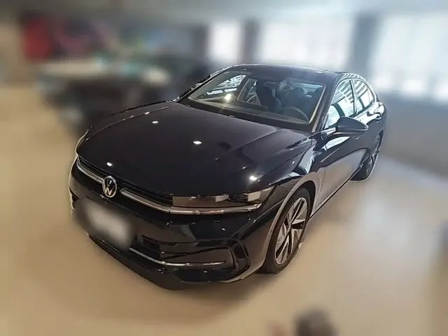 Volkswagen Magotan 2024 380TSI DSG Ultimate Edition