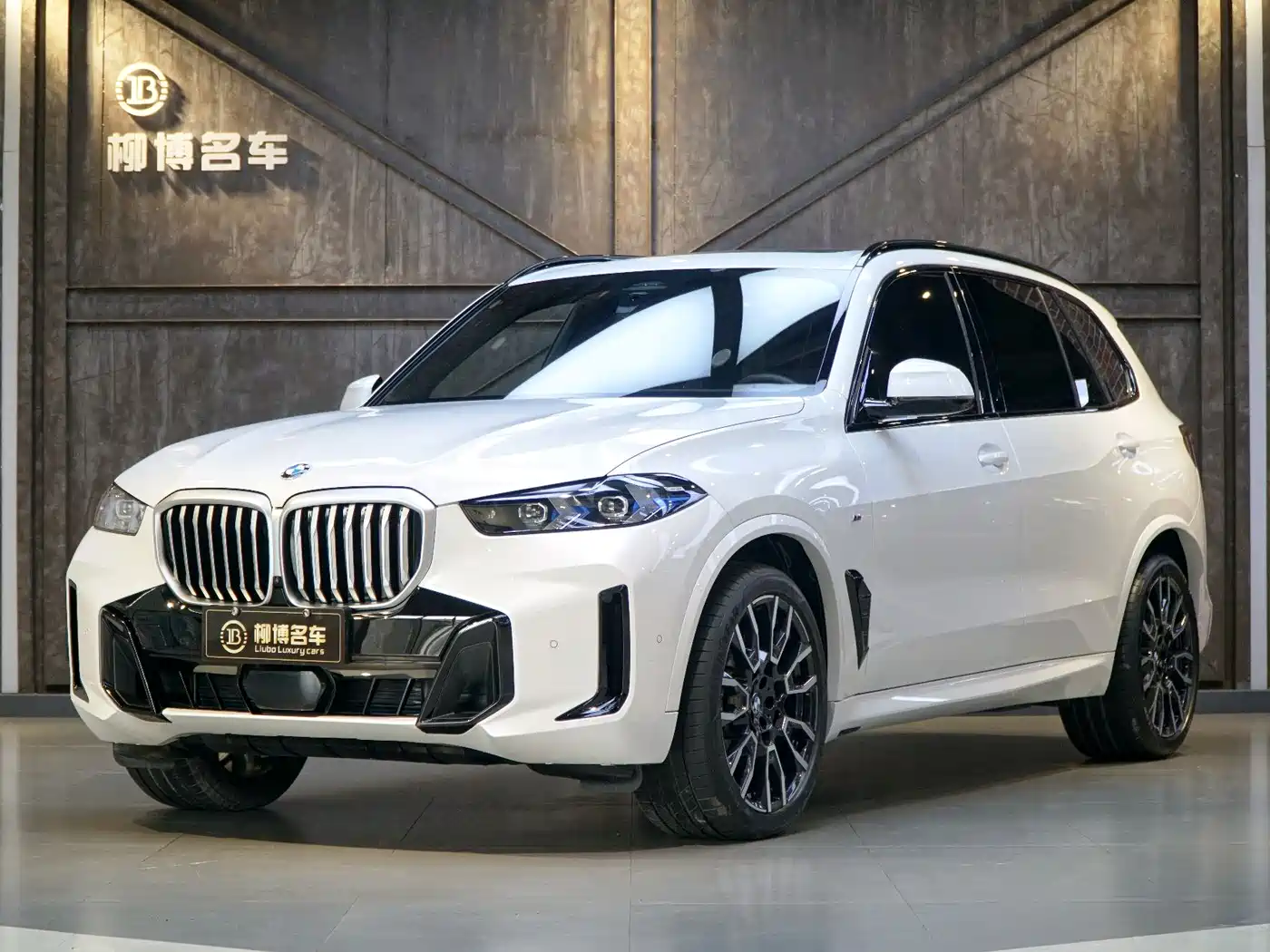 BMW X5 2023 xDrive 40Li M Sport Black Night Package