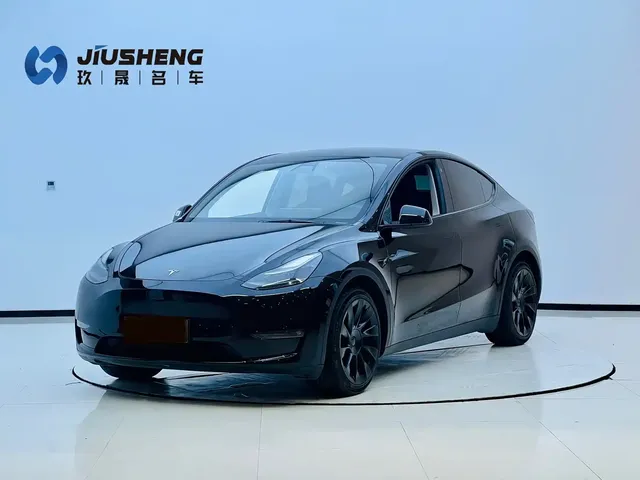 Tesla Model Y 2021 Standard Range Rear-Wheel Drive