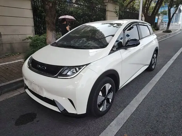 BYD Dolphin 2023 420km Freedom Edition