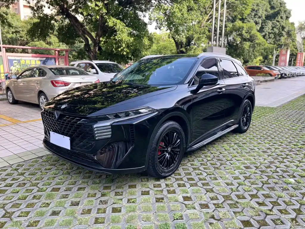 Venucia Big V 2022 260T Dark Horse Edition·Idol