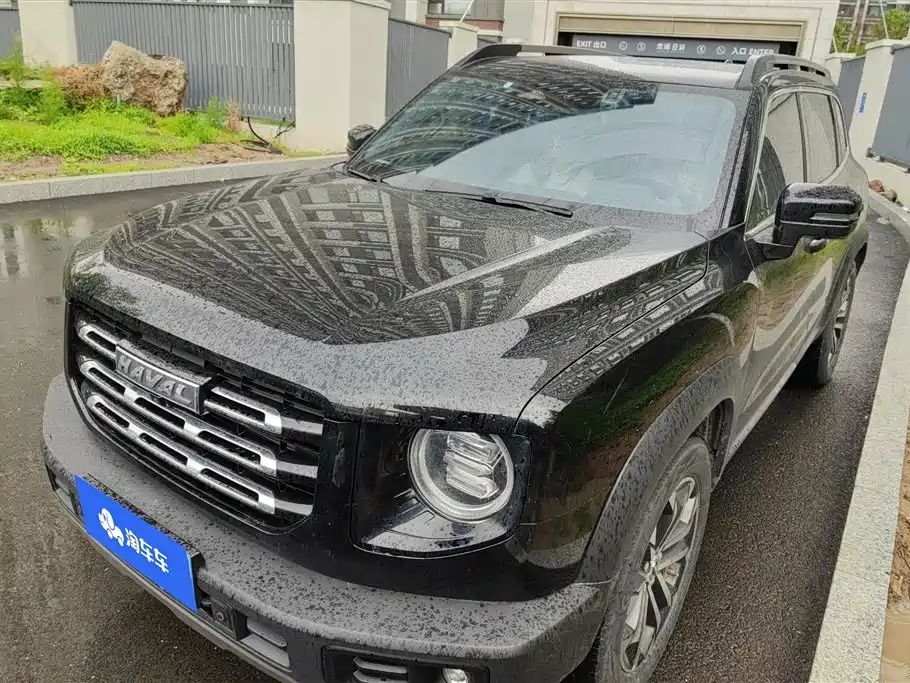 Haval Big Dog 2021 1.5T DCT 2WD Border Collie Edition