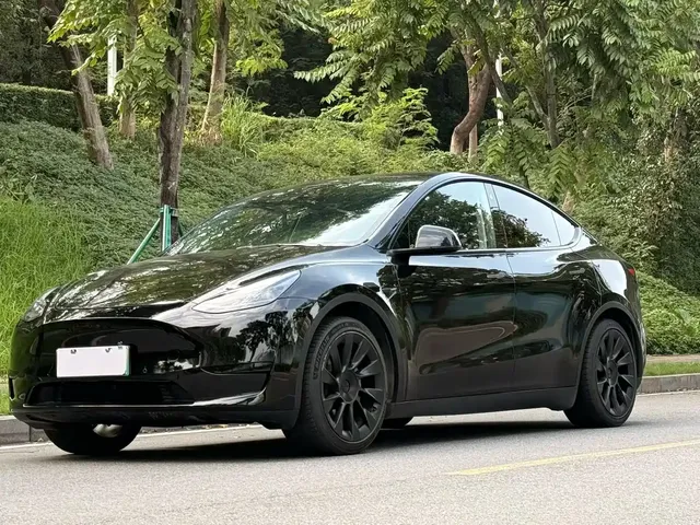Tesla Model Y 2022 Rear-Wheel Drive Version