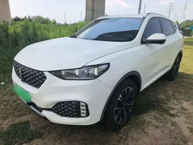 WEY VV6 2020 2.0T 2WD Smart Protection+
