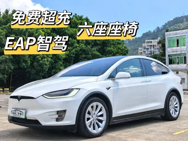 Tesla Model X 2017 Model X 100D Long Range