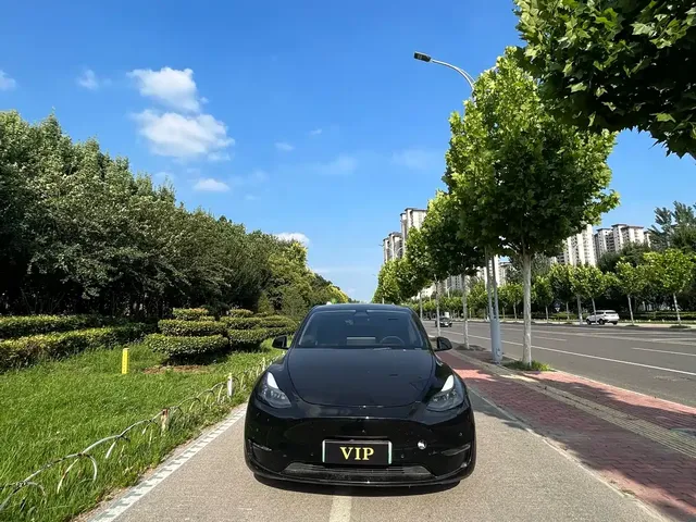 Tesla Model Y 2021 Standard Range Rear-Wheel Drive