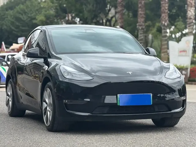 Tesla Model Y 2021 Standard Range Rear-Wheel Drive