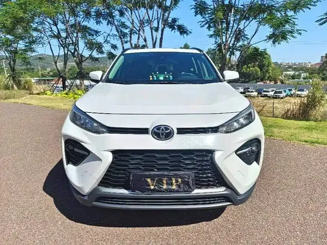 Toyota Wildlander 2020 2.0L CVT 2WD Luxury Edition