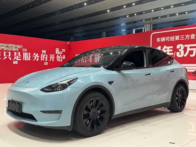 Tesla Model Y 2021 Standard Range Rear-Wheel Drive