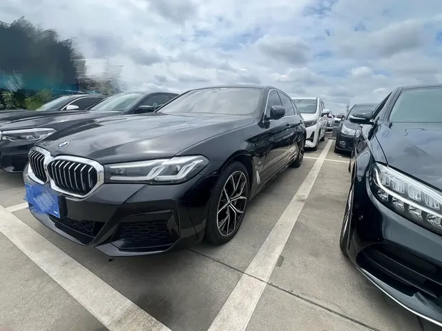 BMW 5 Series 2021 530Li Leading Luxury Package