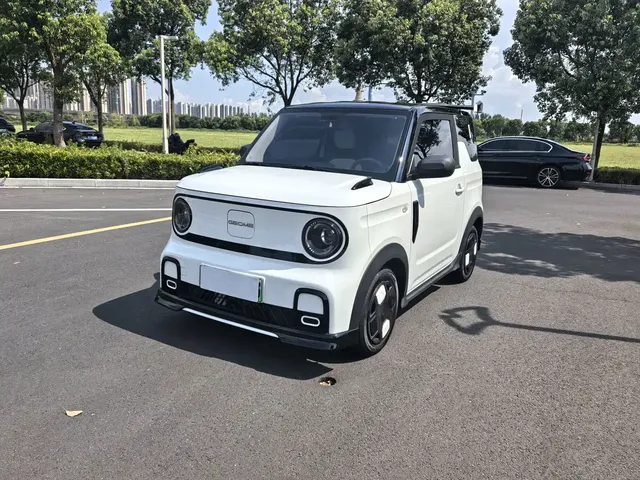 Geely Galaxy Panda 2025 Model Year 210km Panda Kart