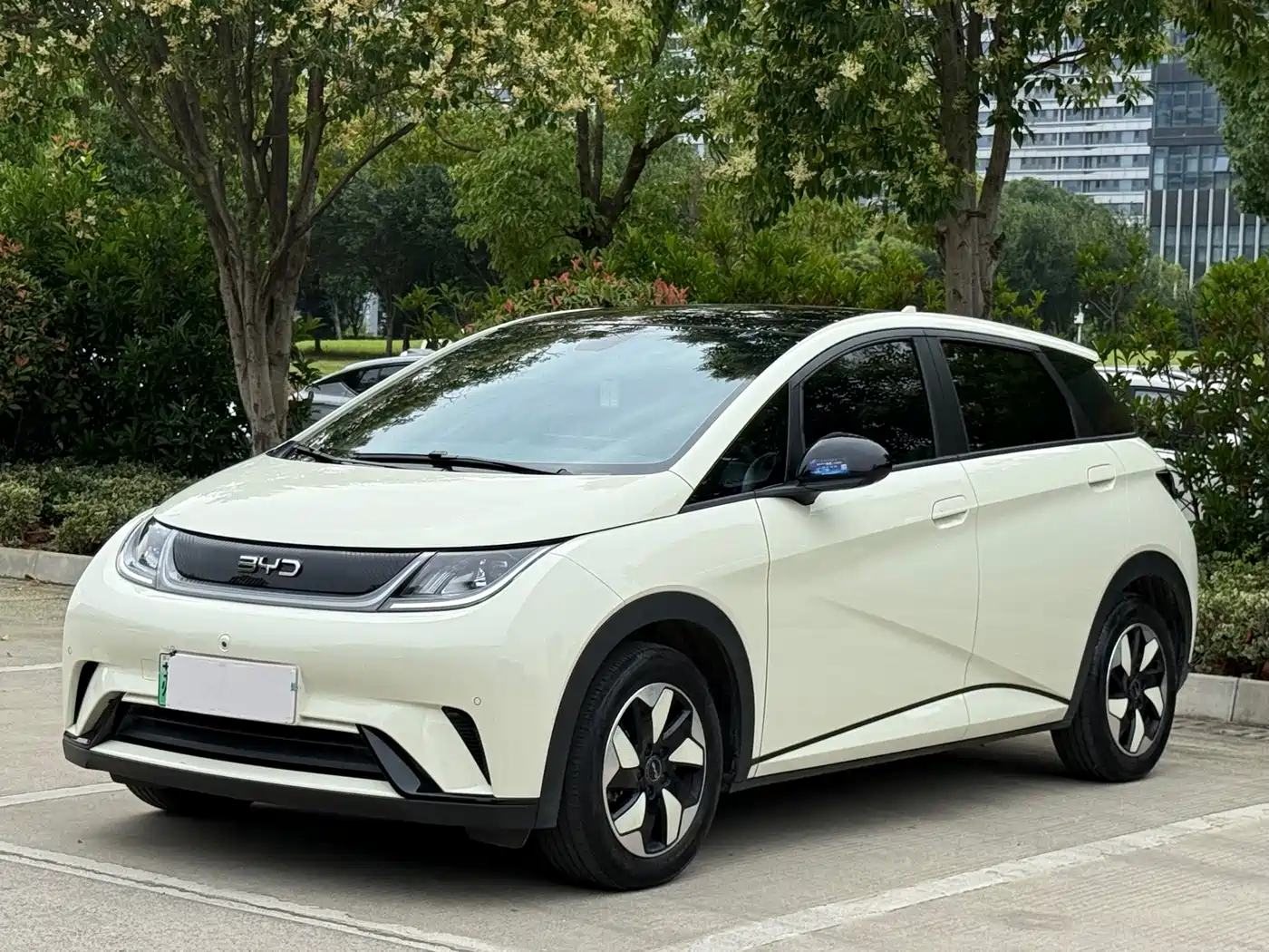 BYD Dolphin 2025 420km Fashion Edition