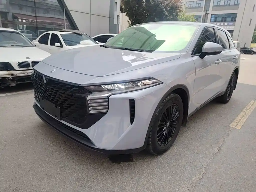 Venucia Big V 2021 260T Idol Edition