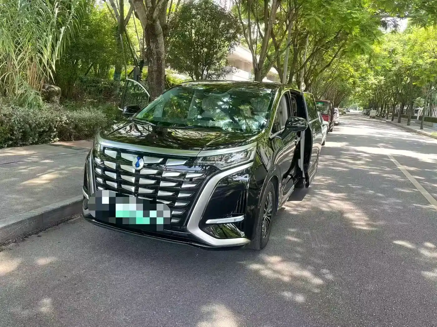 Denza D9 2024 DM-i 980 AWD Flagship