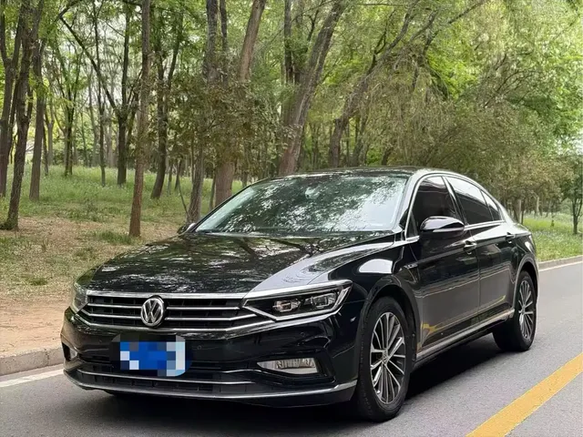 Volkswagen Magotan 2020 330TSI DSG Luxury