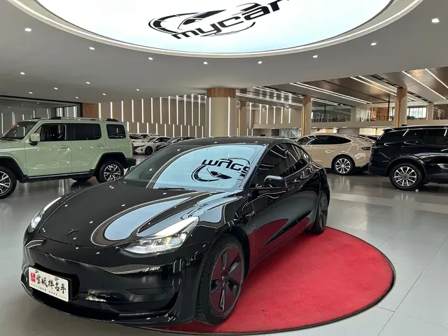 Tesla Model 3 2021 Standard Range Rear-Wheel Drive Upgrade 3D6