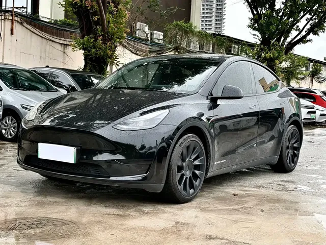 Tesla Model Y 2022 Rear-Wheel Drive Version