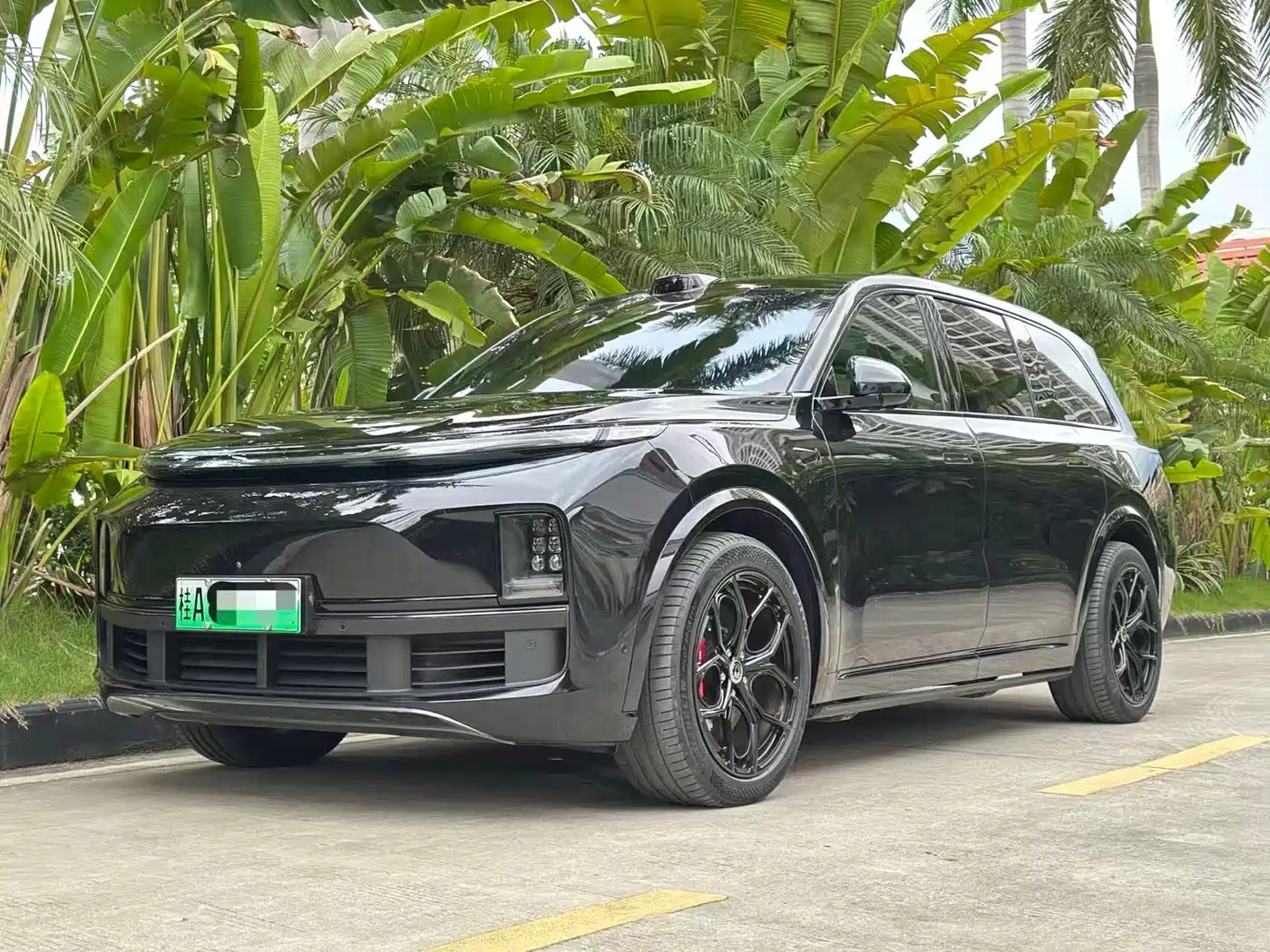 Li Auto Li Xiang L9 2022 Max