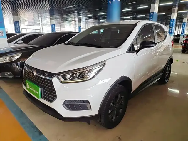 BYD Yuan New Energy 2019 EV535 Smart Connected Trend Leader Type