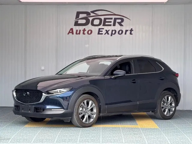 Mazda CX-30 2021 2.0L Auto Premium Joy Type