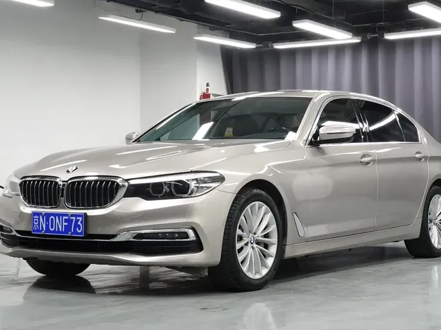 BMW 5 Series 2019 530Li Leading Luxury Package
