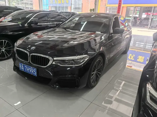 BMW 5 Series 2020 530Li Leading M Sport Package