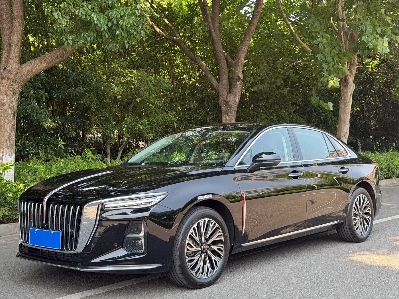 Hongqi H5 2025 1.5T DCT Flag Rhythm 500,000 Units Memorial Edition