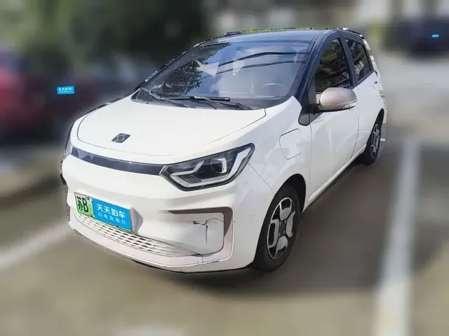 Sehol Flower Fairy 2021 302km Fashion Edition 31.4kWh
