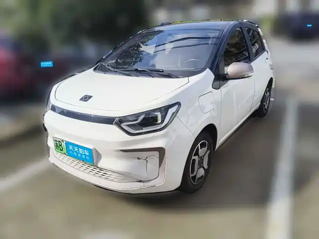 Sehol Flower Fairy 2021 302km Fashion Edition 31.4kWh