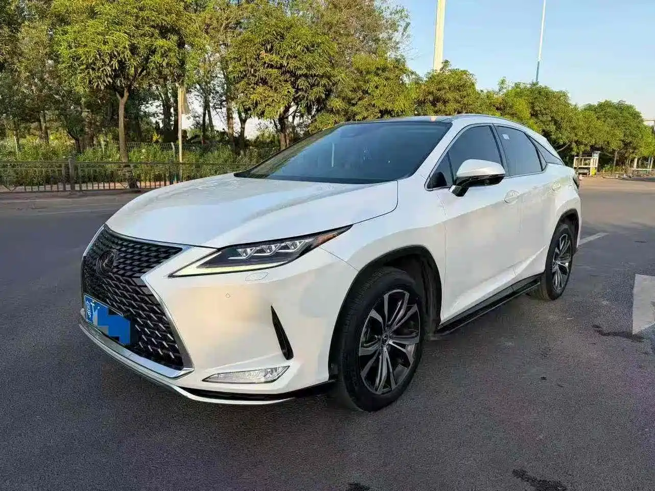 Lexus RX 2020 300 4WD Elegance Edition China VI