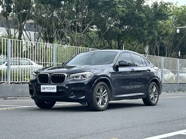 BMW X4 2019 xDrive25i M Sport Package