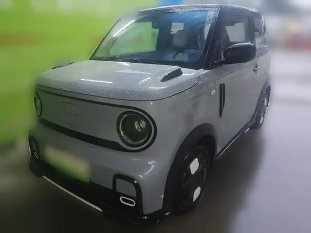 Geely Galaxy Panda 2025 Model Year 210km Panda Kart