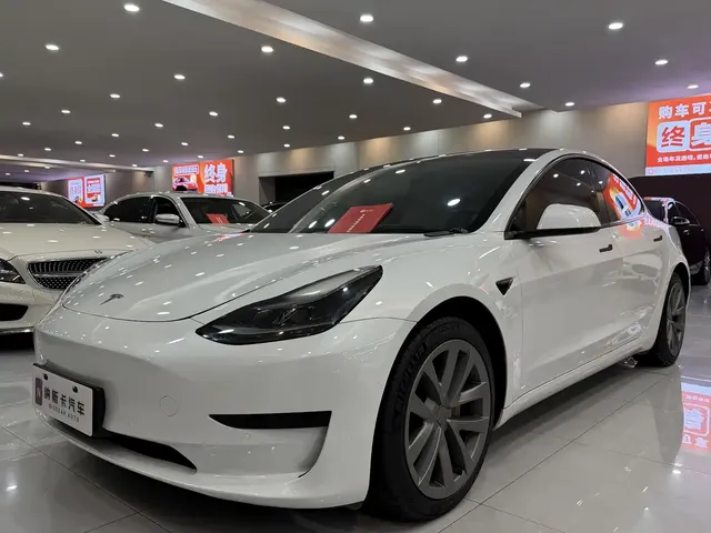 Tesla Model 3 2021 Standard Range Rear-Wheel Drive Upgrade